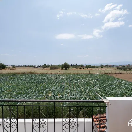 Fivi Agios Nikolaos (Euboea)